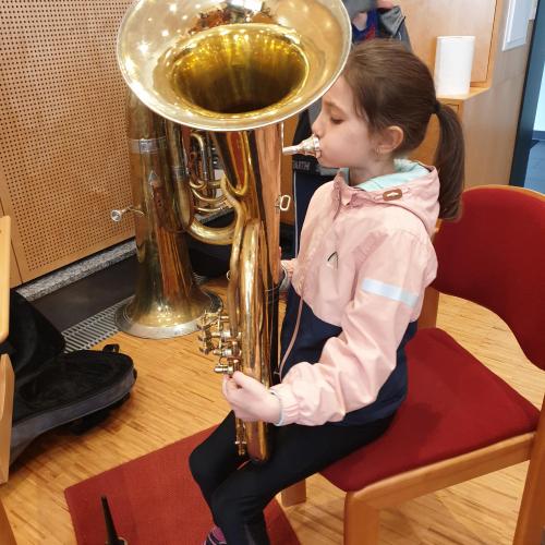 Instrumentenvorstellung