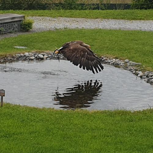 Ötzidorf und Greifvogelpark