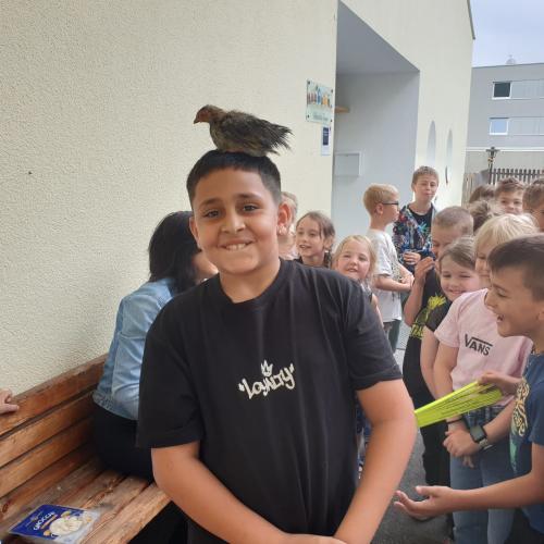 Enten