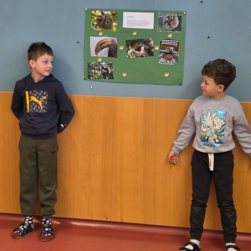 Referat das Faultier