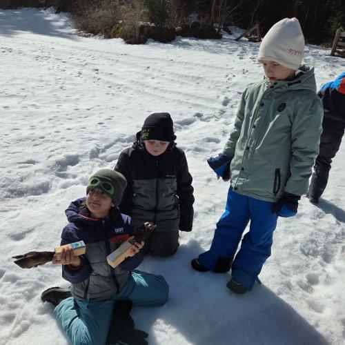 Tierbeine werden untersucht