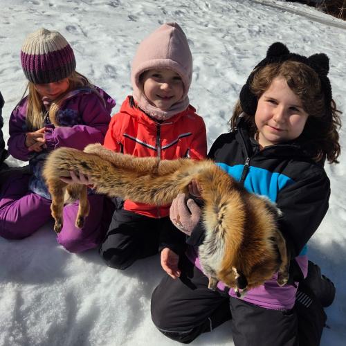 Tierfelle werden untersucht und befühlt