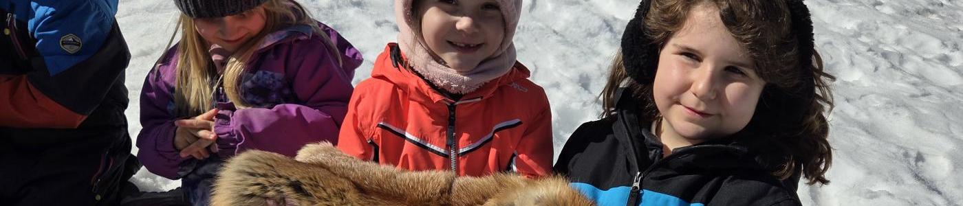 Überlebenskünstler im Winter