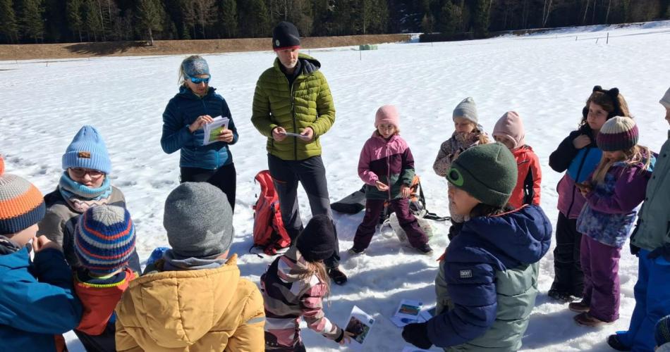 Überlebenskünstler im Winter